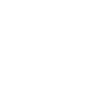 icon protection ddos